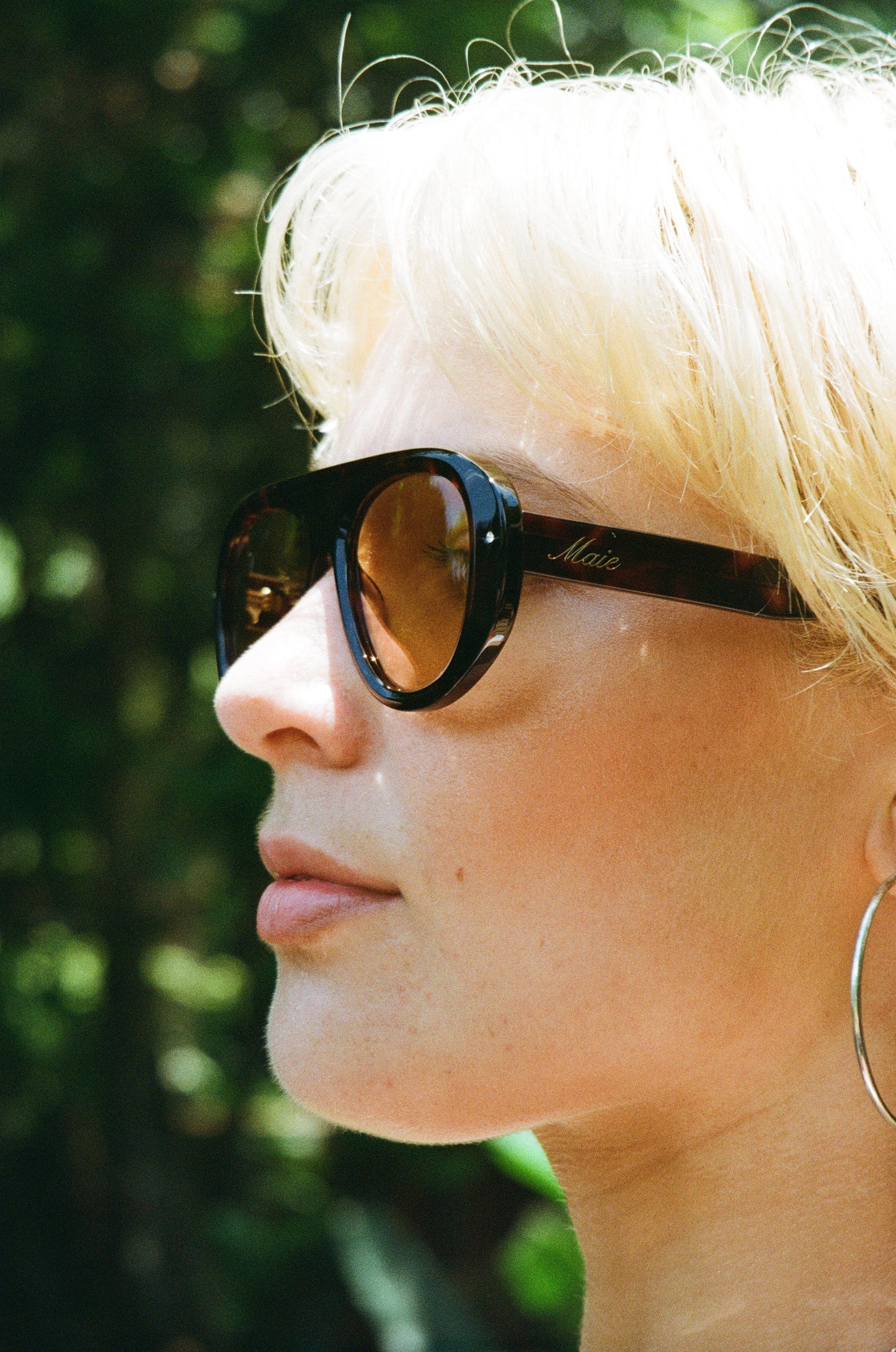 Marnie - Rich Tortoise