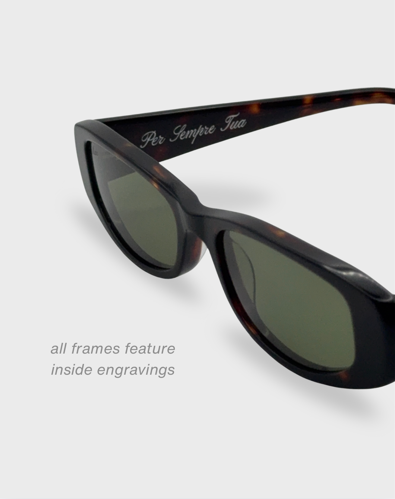 Aurora - Rich Tortoise